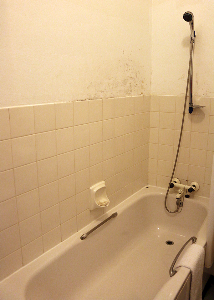 The shower and tub. Photograph ©2015 by Brian Cohen.