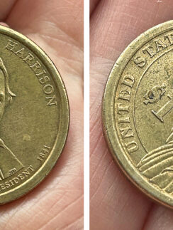 a close up of a coin