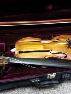 violin