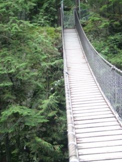 a bridge over a forest