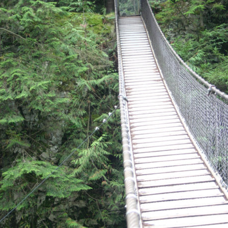 a bridge over a forest