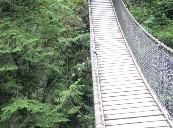 a bridge over a forest