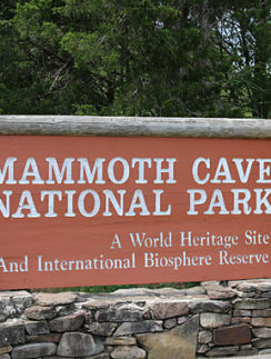 a sign in front of a stone wall