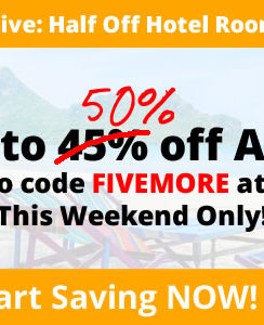 TravelPony sale banner