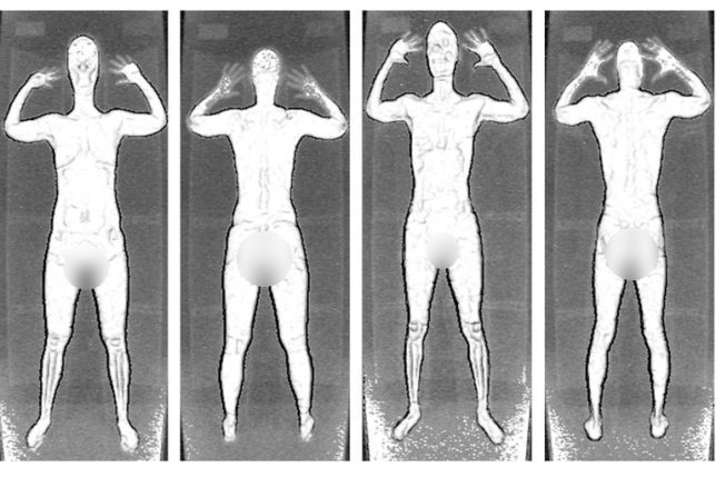 Naked scanned full body images