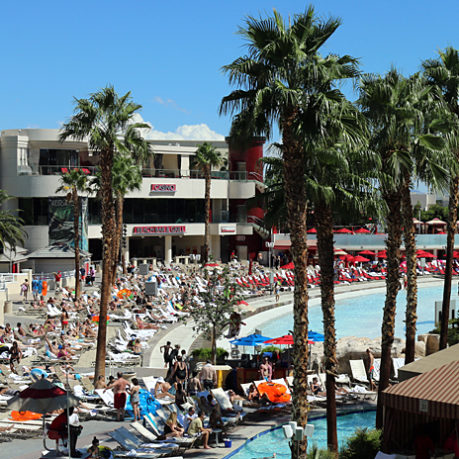 Mandalay Bay Pool Las Vegas