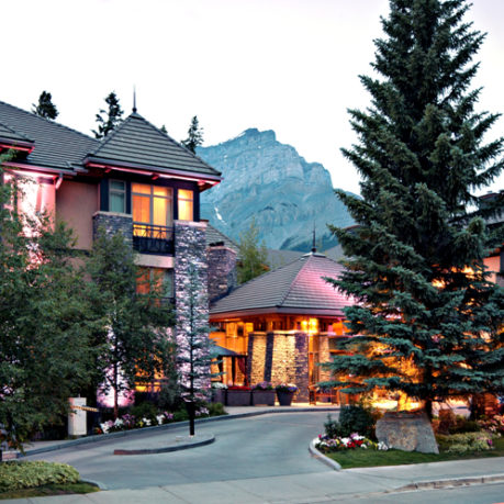 a street with trees and houses in front of it