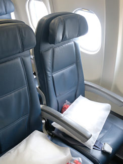 Economy class seat Delta Air Lines