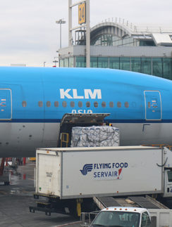 KLM Royal Dutch Airlines