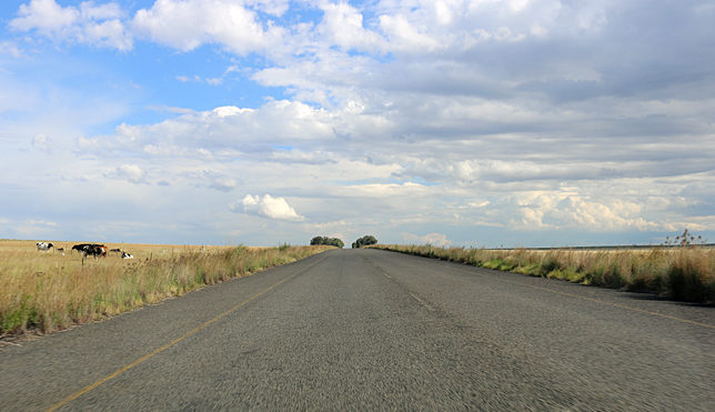 road south africa