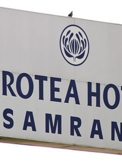 Protea Samrand