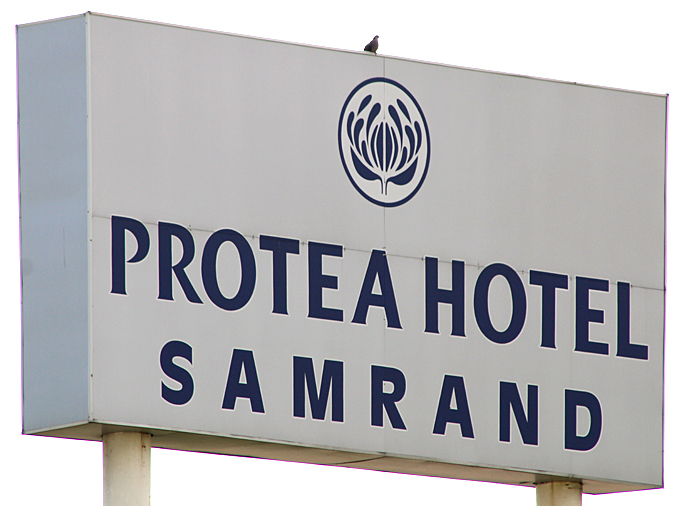 Protea Samrand