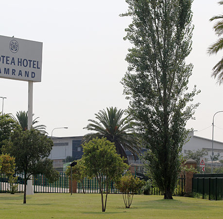 Protea Samrand