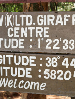 Giraffe Centre Nairobi Kenya