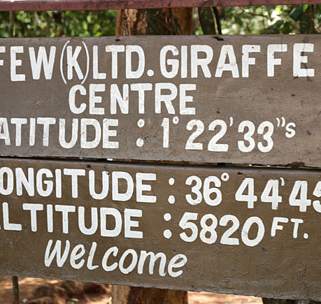 Giraffe Centre Nairobi Kenya