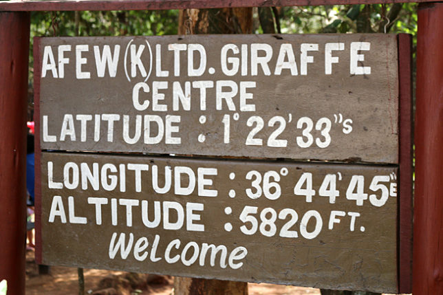 Giraffe Centre Nairobi Kenya