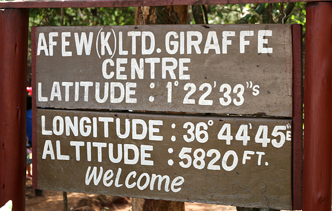 Giraffe Centre Nairobi Kenya