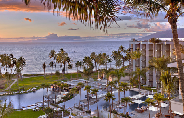 a resort with palm trees and a body of water