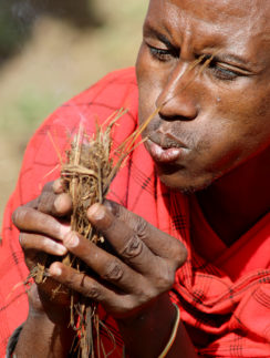 Maasai Mara people fire
