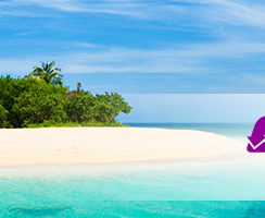 a beach with trees and blue water