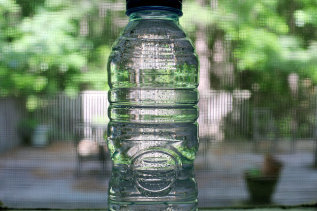 Bottle of water