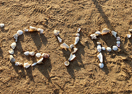 Egypt shells on sand