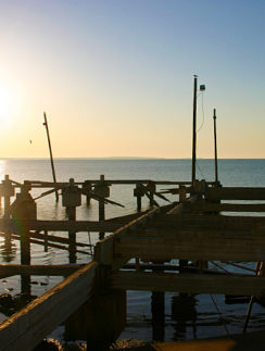 a wooden dock with poles in the water