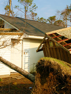 a tree fallen over a house
