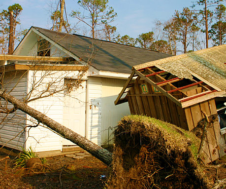 a tree fallen over a house