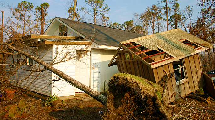 a tree fallen over a house