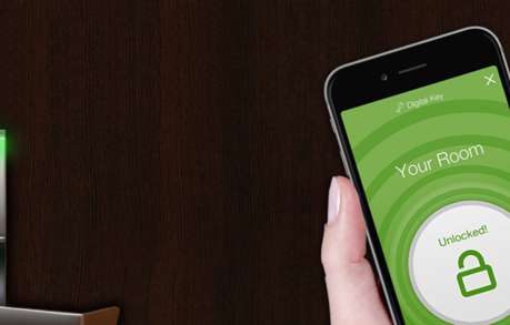 a hand holding a cell phone