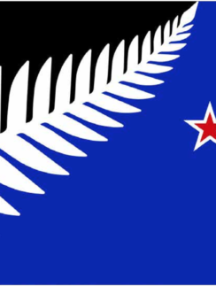 New Zealand Flag Finalist