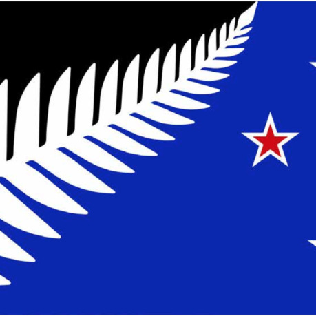 New Zealand Flag Finalist
