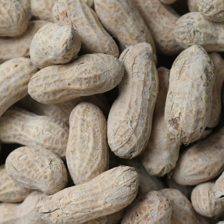 peanuts