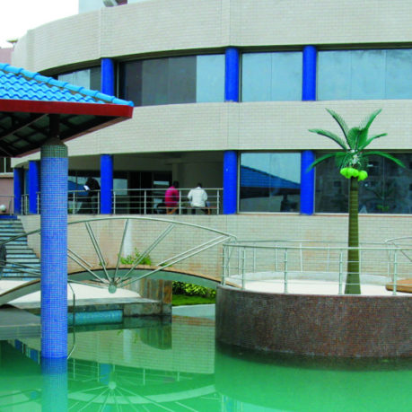 a pool with palm trees and a bridge
