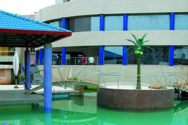 a pool with palm trees and a bridge