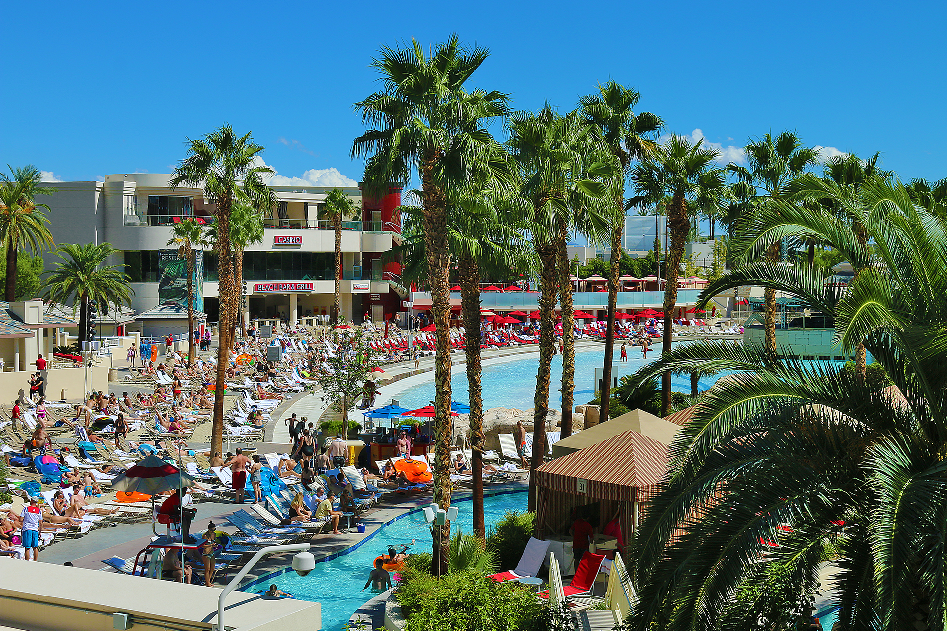 Mandalay Bay Pool Las Vegas