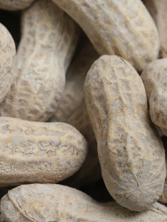 Peanuts close up