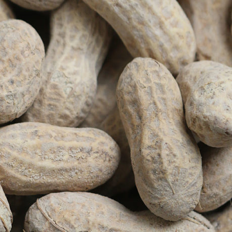 Peanuts close up