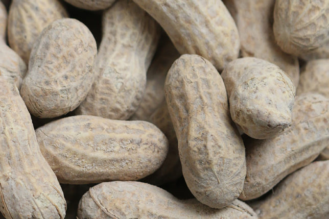 Peanuts close up