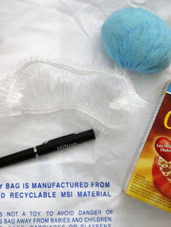 Twelve Essential Items at Virtually No Cost Which I Carry With Me When I Travel