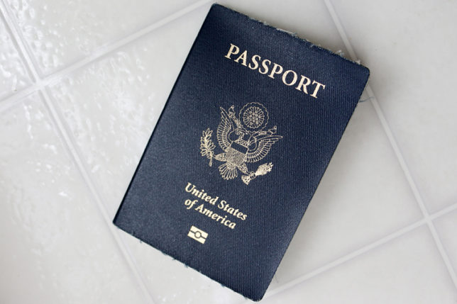 United States Passport Angled