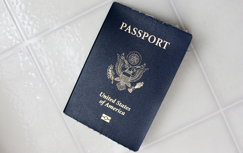 United States Passport Angled