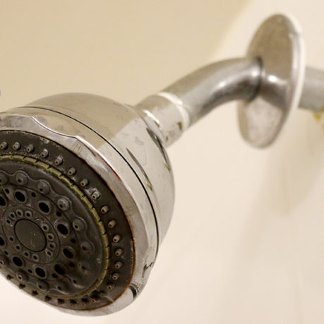 Hilton Garden Inn Tampa North