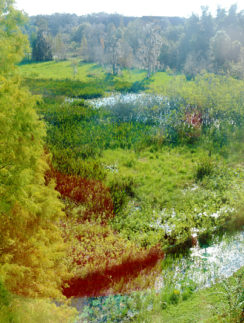 Hilton Garden Inn Tampa North