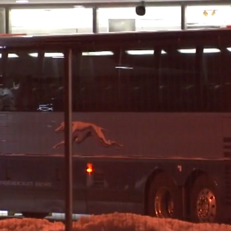 Greyhound bus roaches