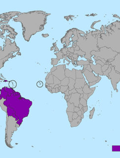 Zika virus map January 2016