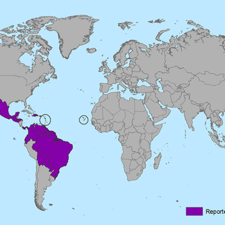 Zika virus map January 2016