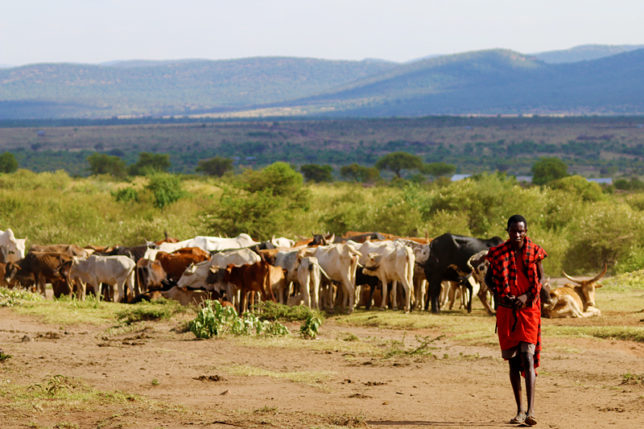 Maasai People in Kenya