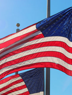 Flag of the United States of America